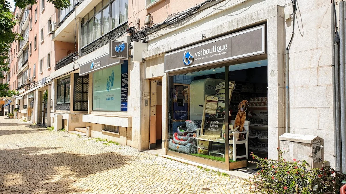 Clínica Veterinária João XXI — 2