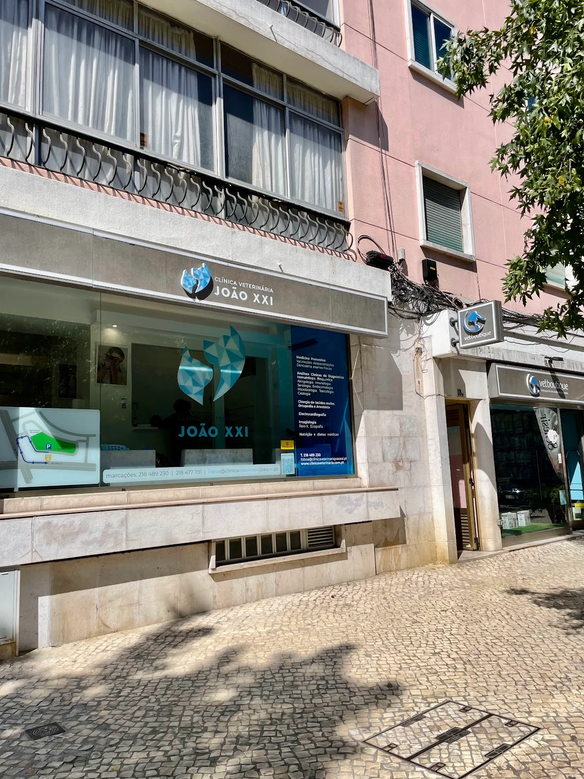 Clínica Veterinária João XXI — 3