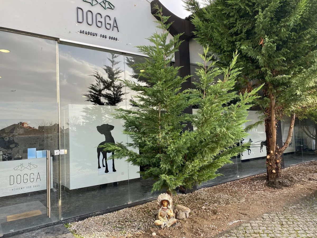 Dogga Residence - Canine Luxury Hotel — 3
