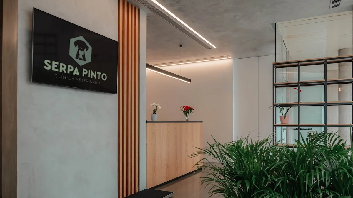 Clínica Veterinária Serpa Pinto