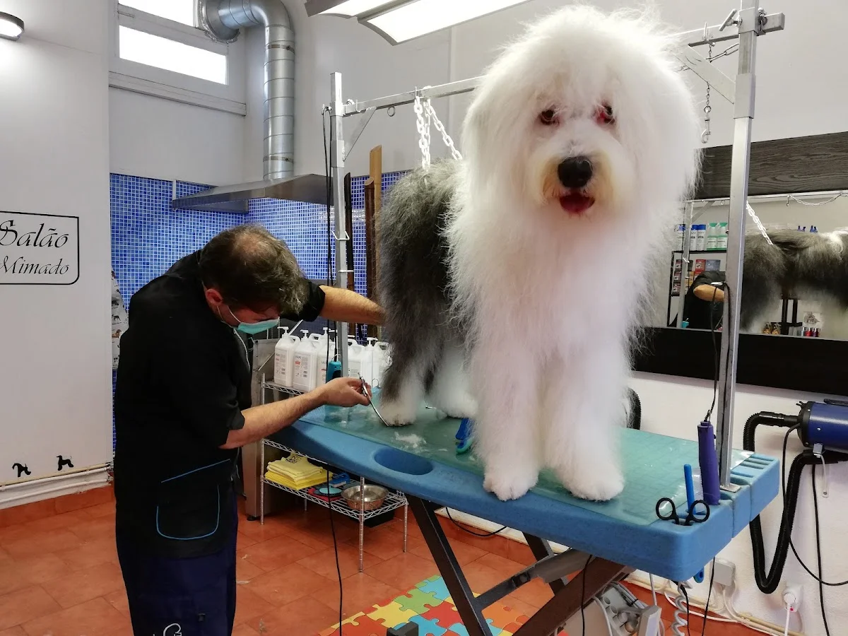 Salão Cão Mimado