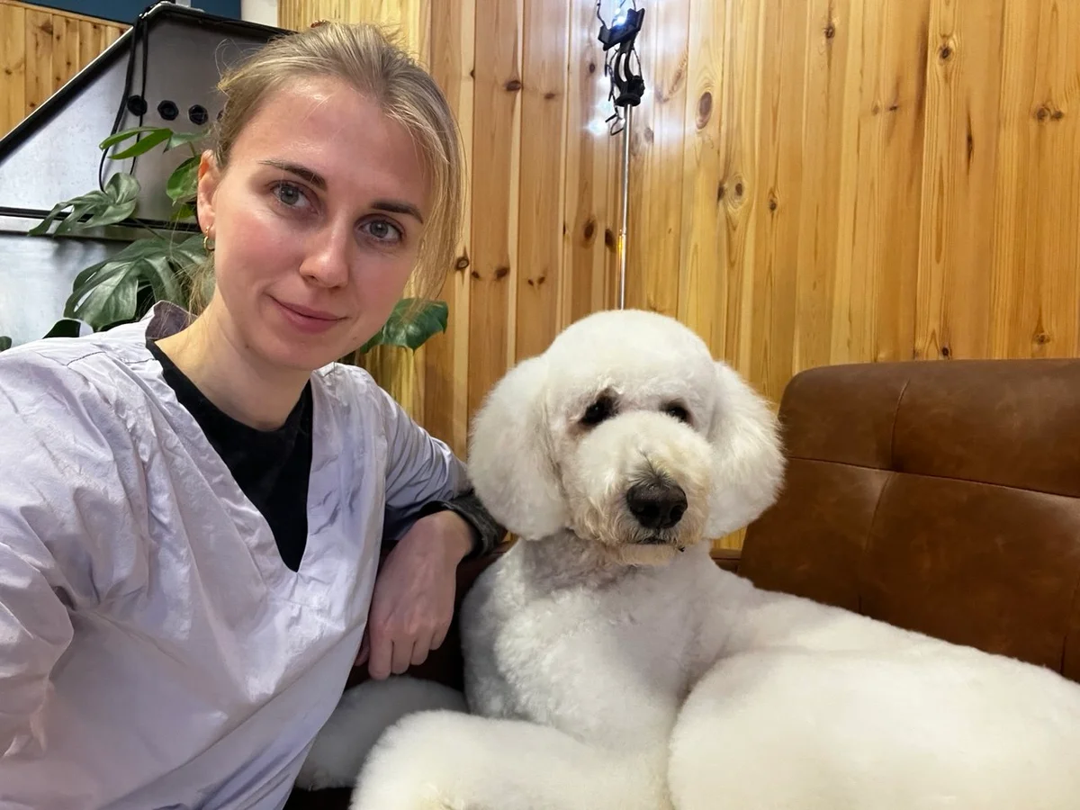 PawsN'Surf Grooming — 2