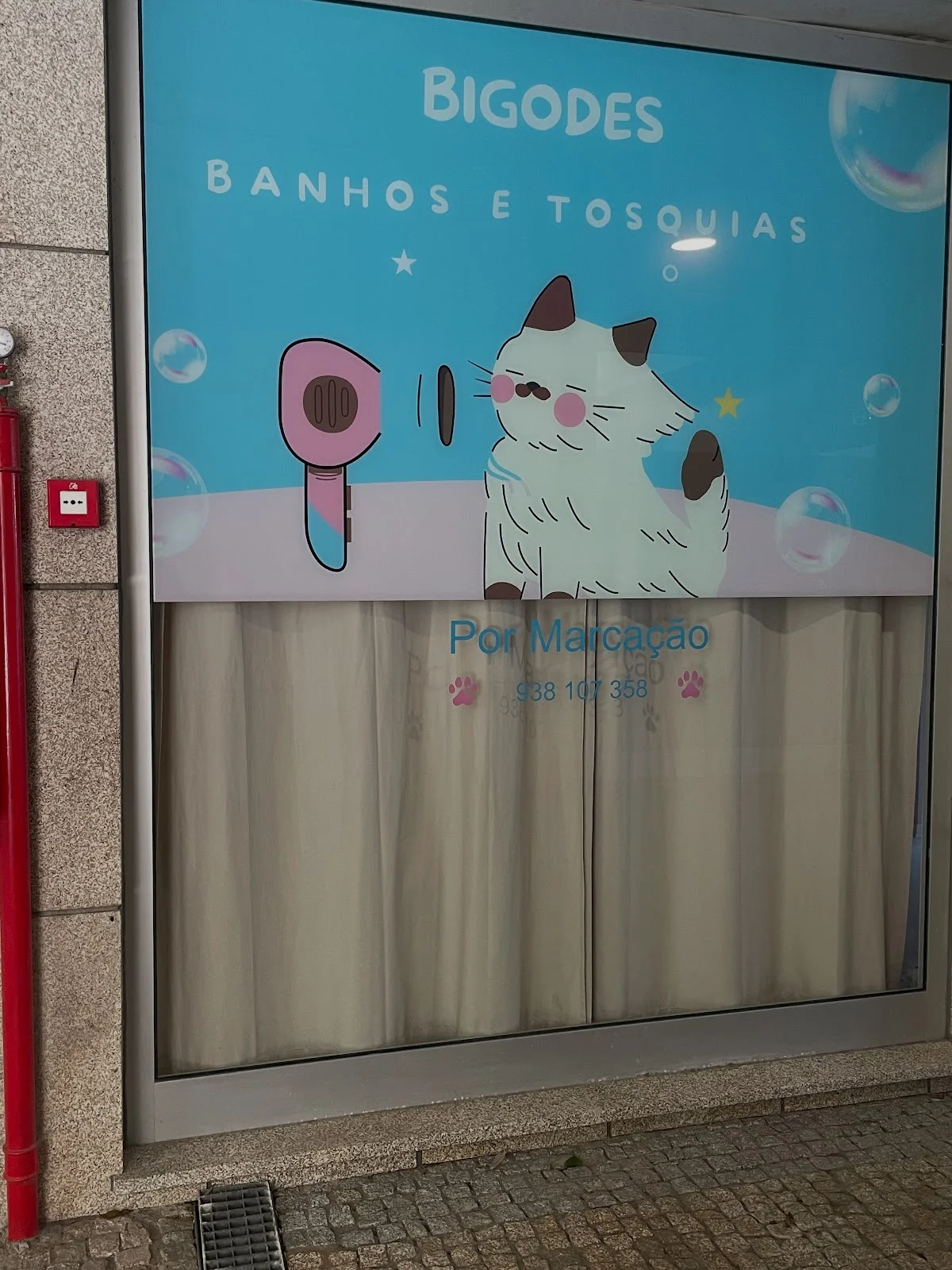 Bigodes Banhos e Tosquia
