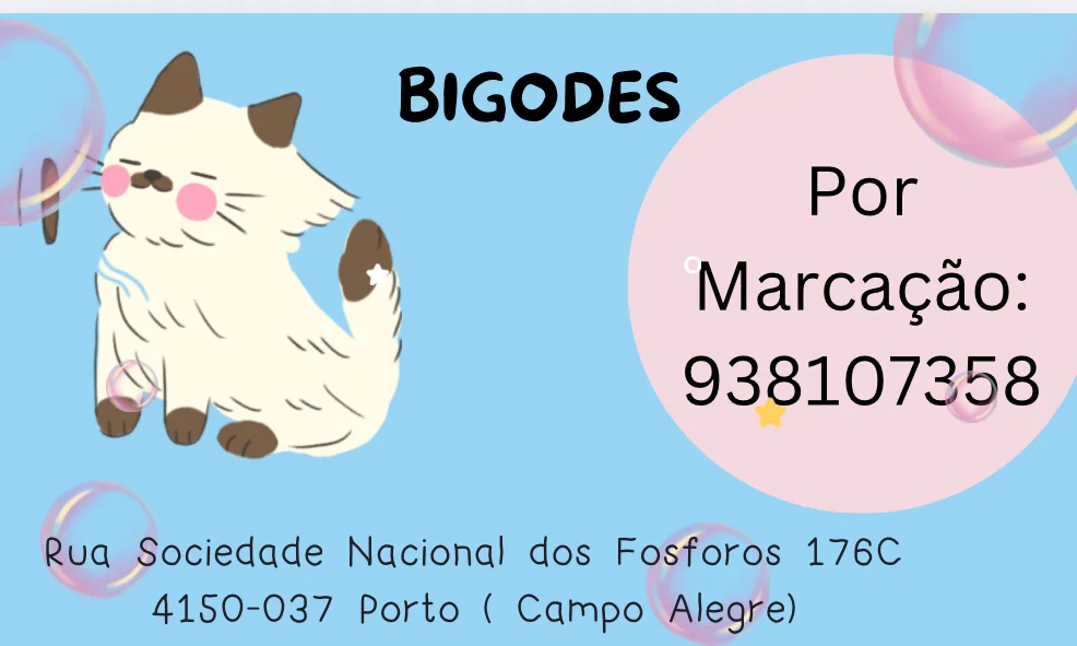 Bigodes Banhos e Tosquia — 3