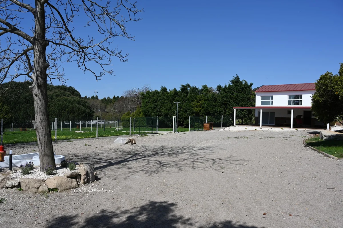 Casa de Cãopo
