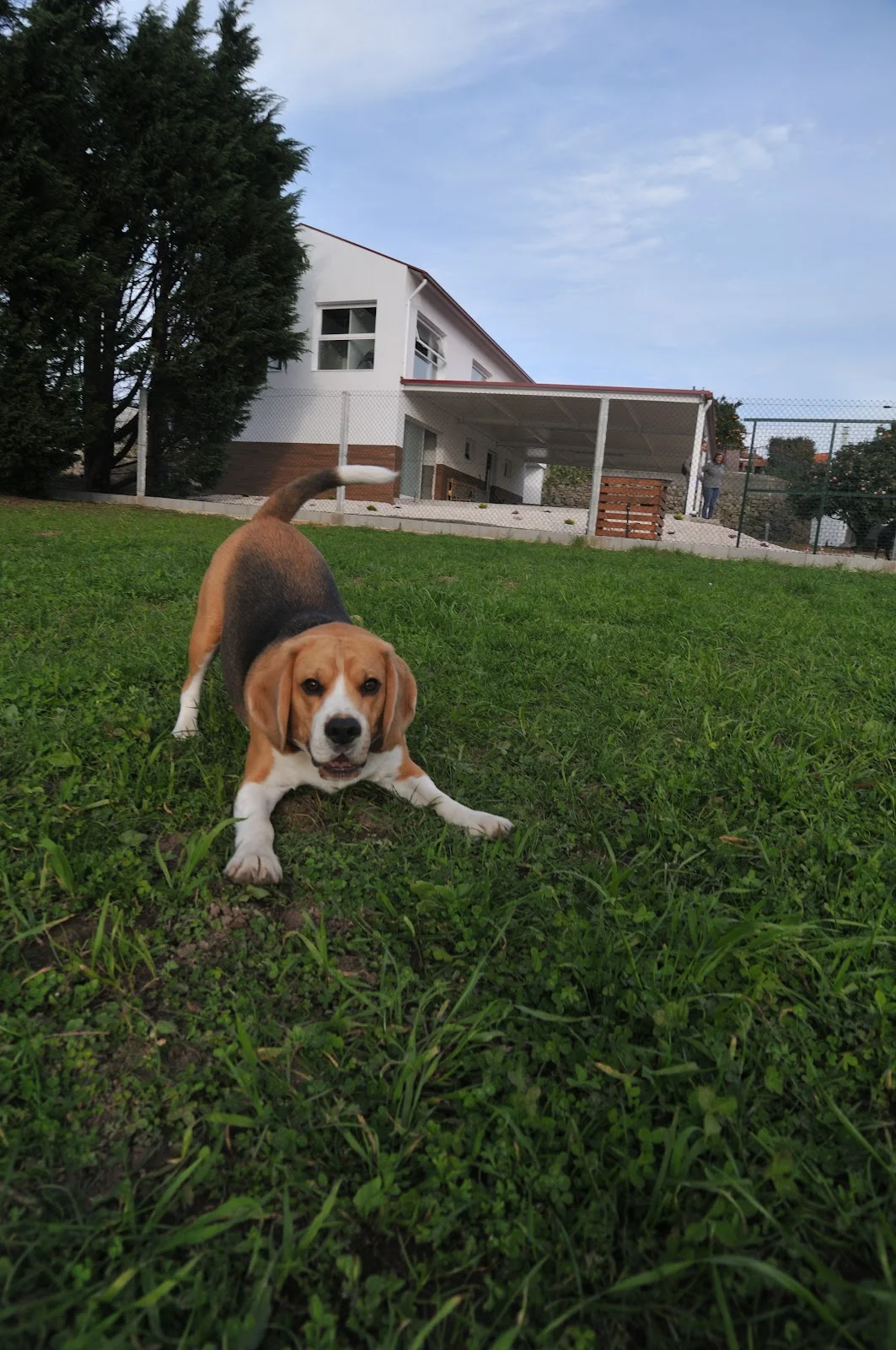 Casa de Cãopo — 2