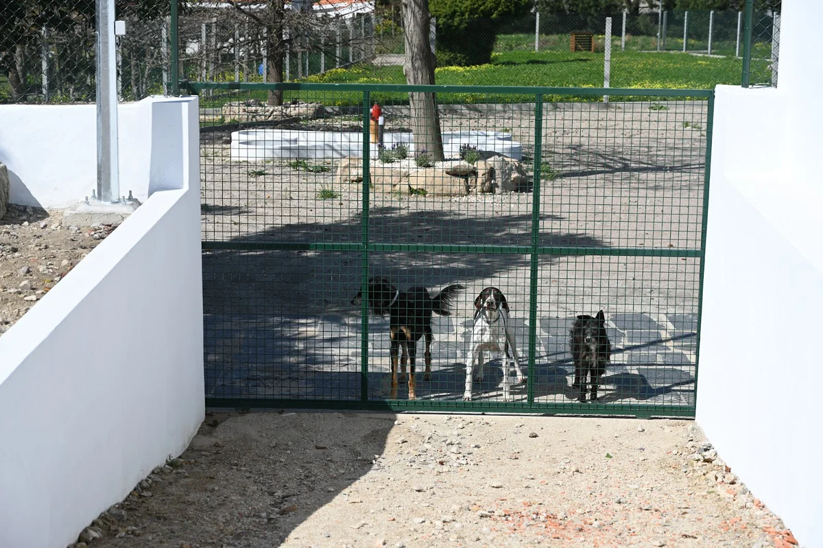 Casa de Cãopo — 3