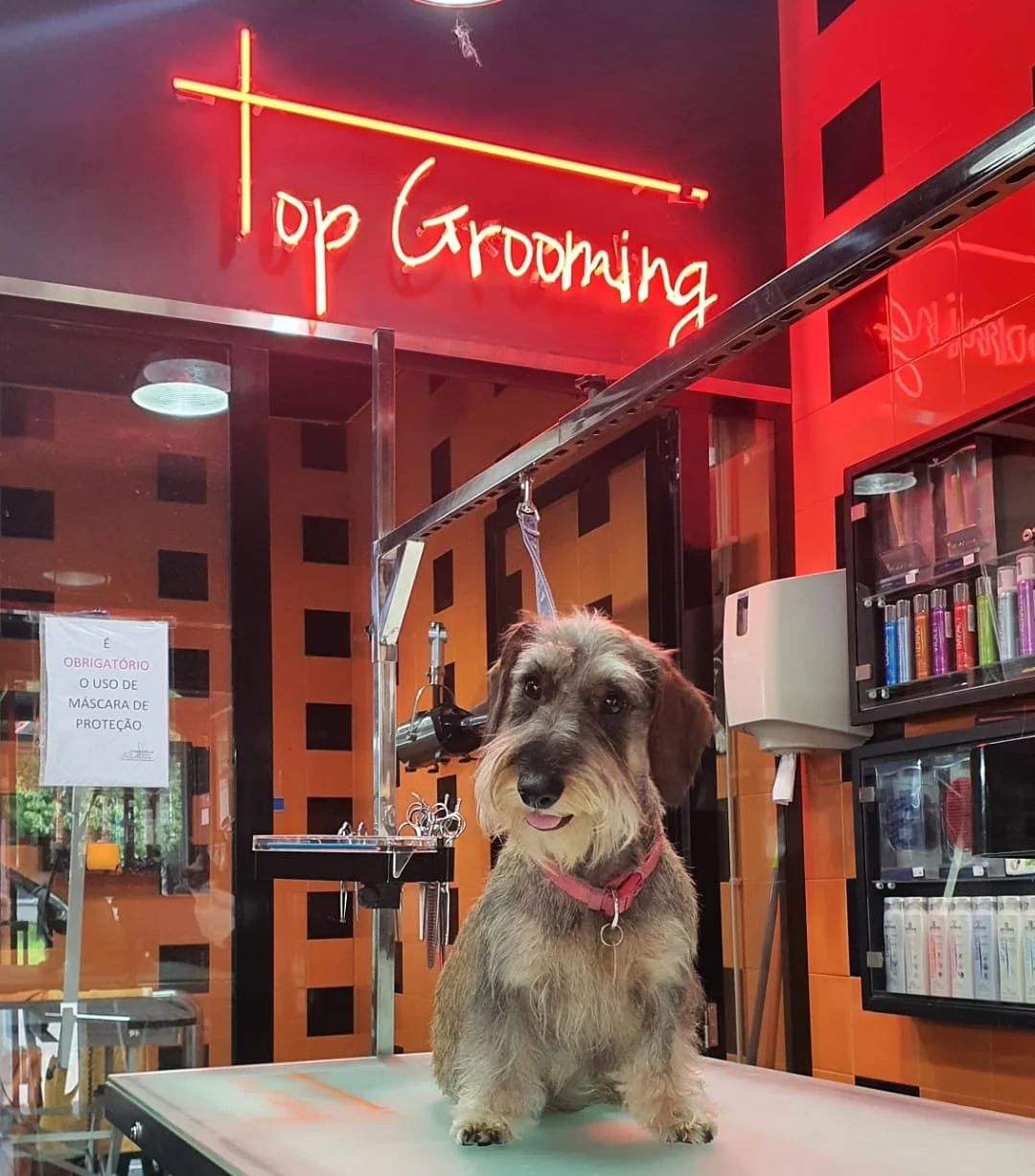 Top Grooming