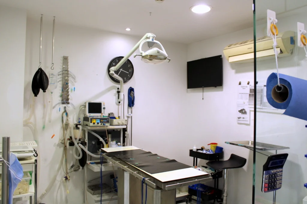 Mario Santos - Arte Veterinária — 3
