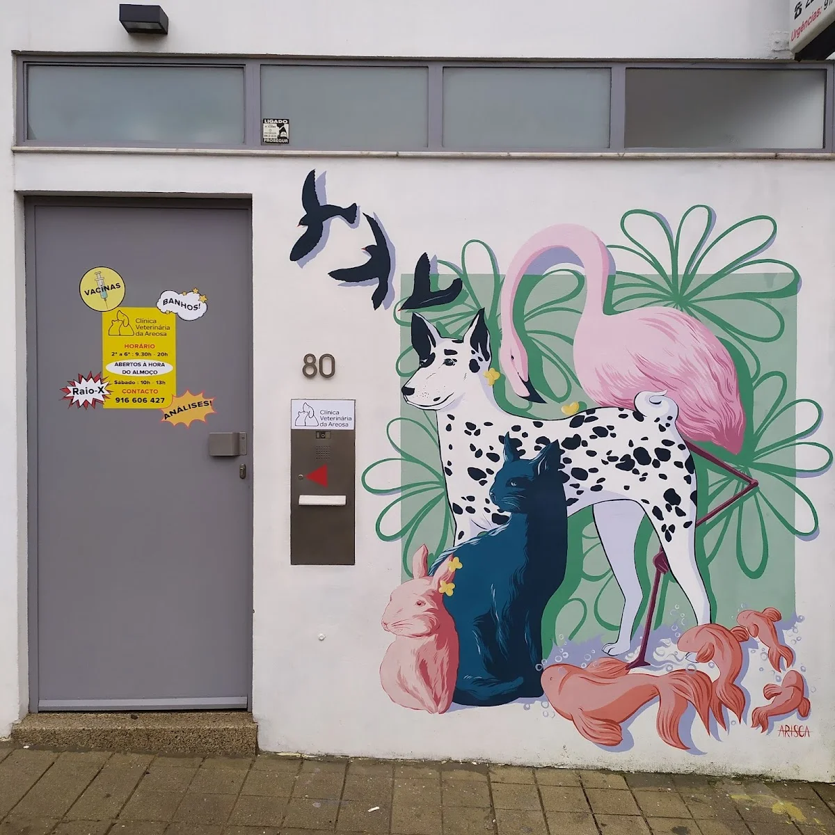Clínica Veterinária da Areosa - Porto