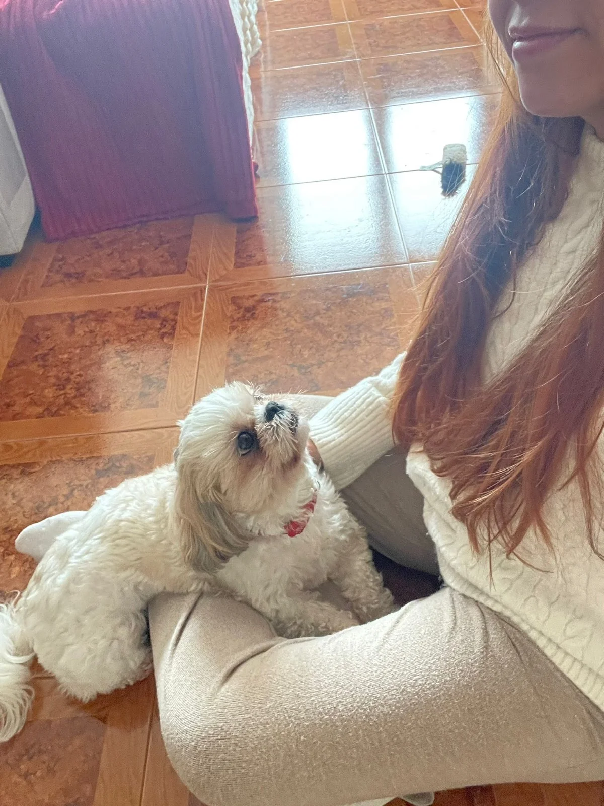 Judá Petlover Petsitting — 2