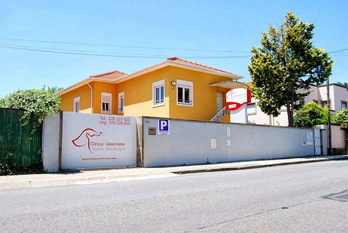 Clínica Veterinária Monte dos Burgos — 2