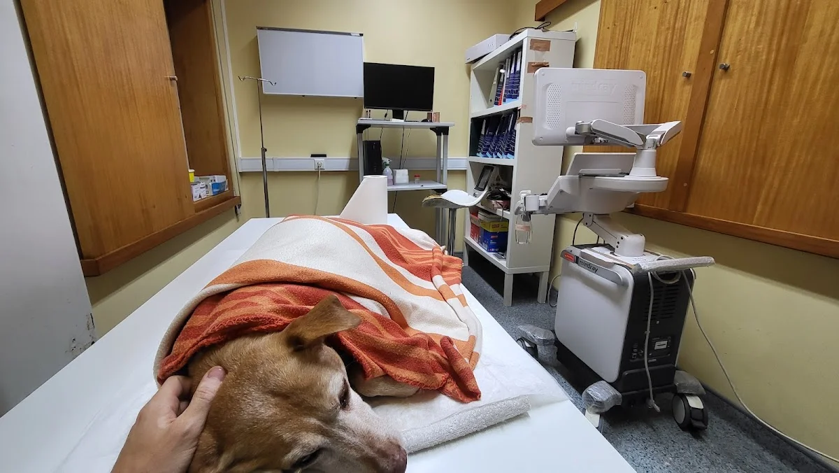 Clínica Veterinária Monte dos Burgos — 3