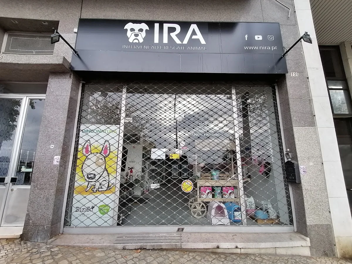 IRAvet — 3