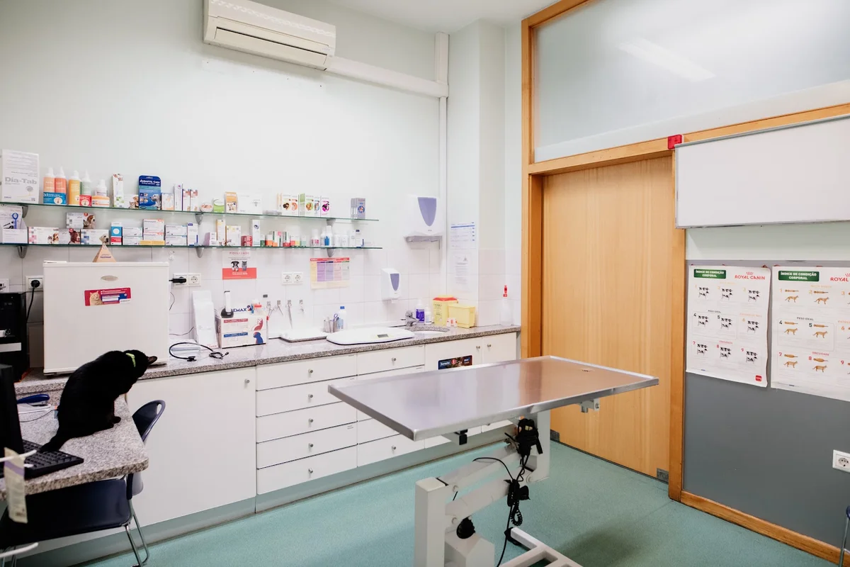 Onevet Clínica Veterinária Rio Tinto — 3