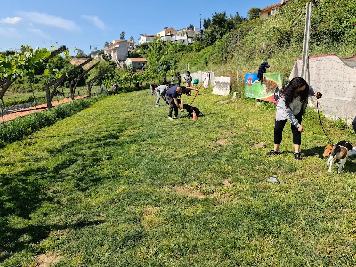 Guardiões do Candal - Centro Treino e Desporto