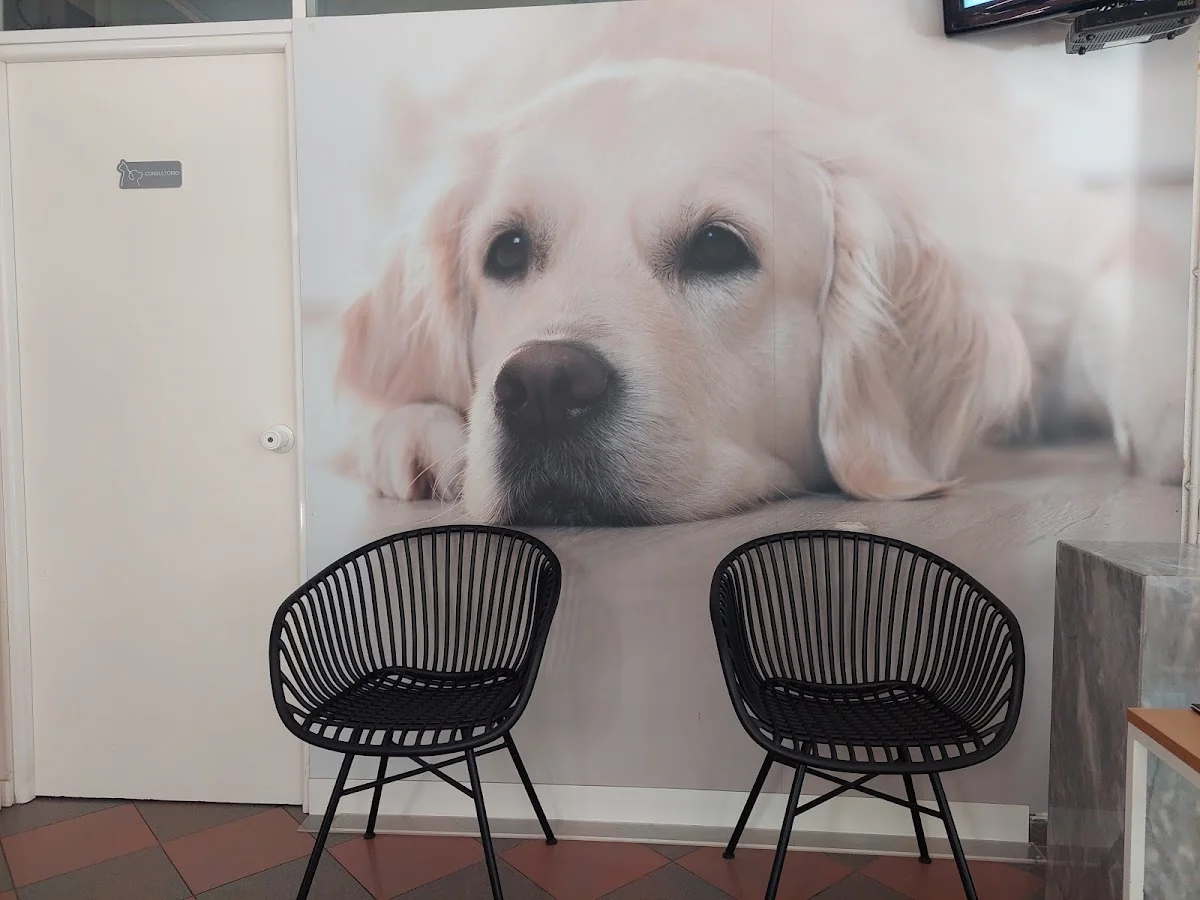 Clínica Veterinária do Lambert — 3