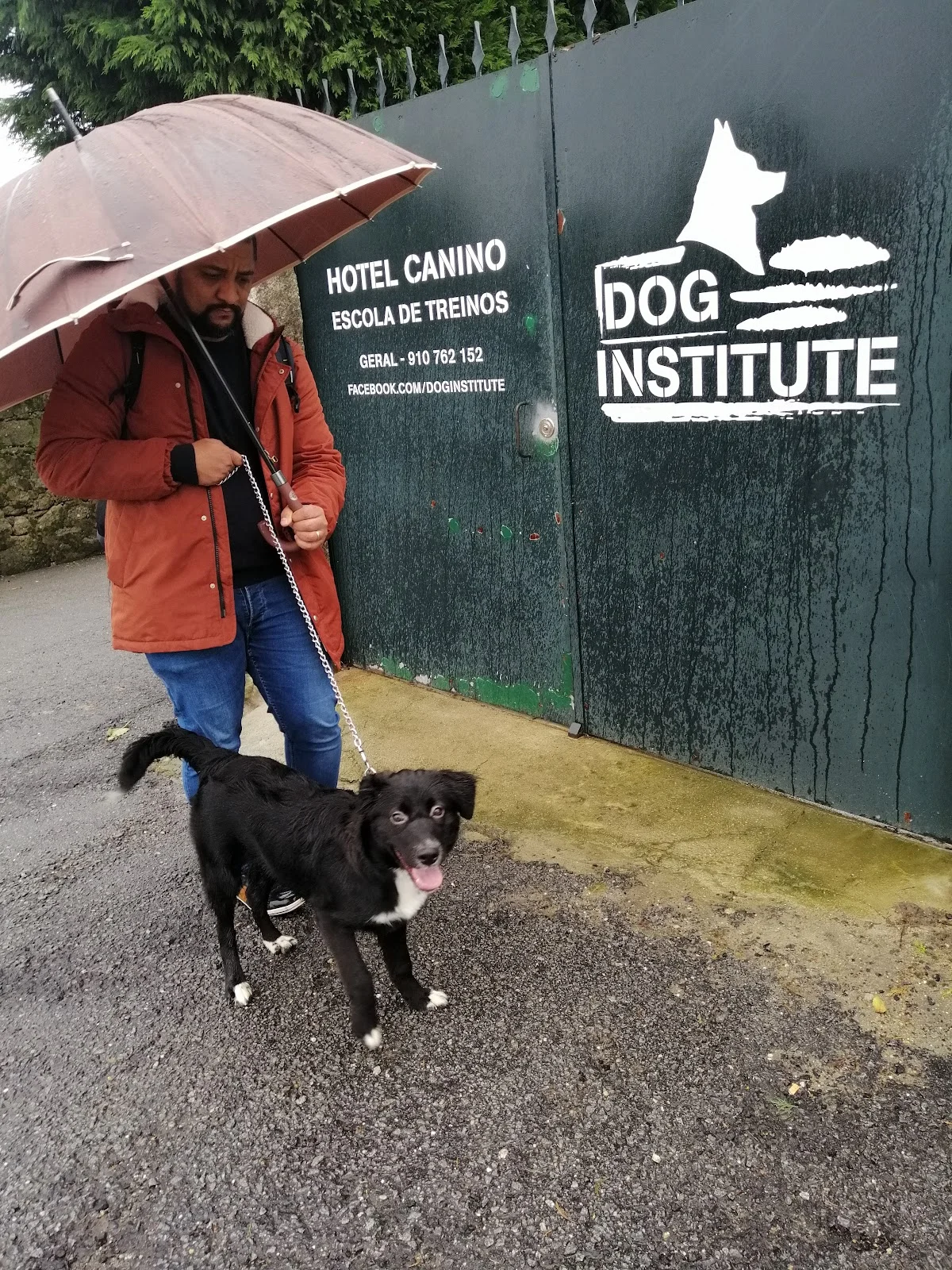 Dog Institute