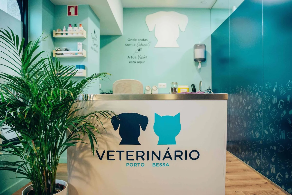 Veterinários Sobre Rodas | Bessa