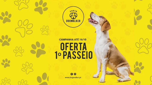 Dog Walker Porto