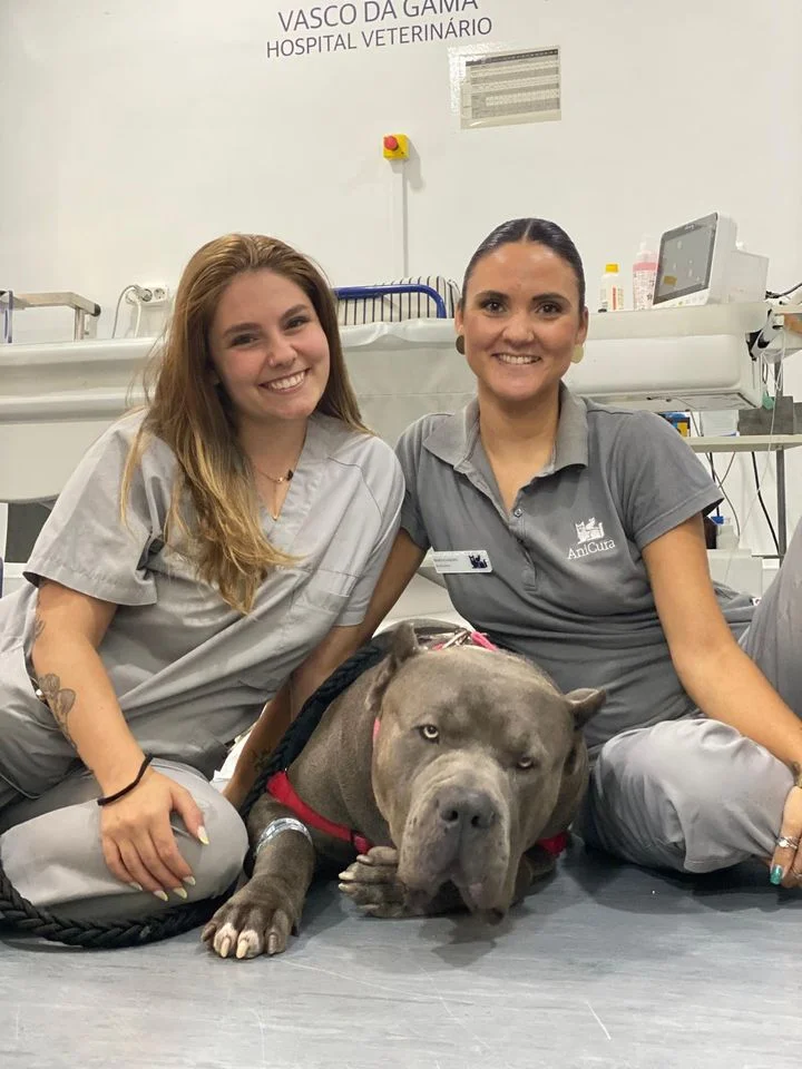 AniCura Vasco da Gama Hospital Veterinário — 3