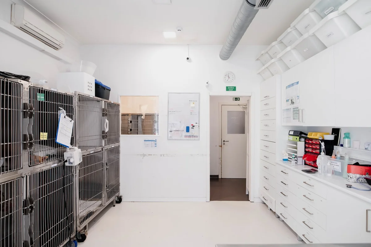 Onevet Hospital Veterinário Berna — 2