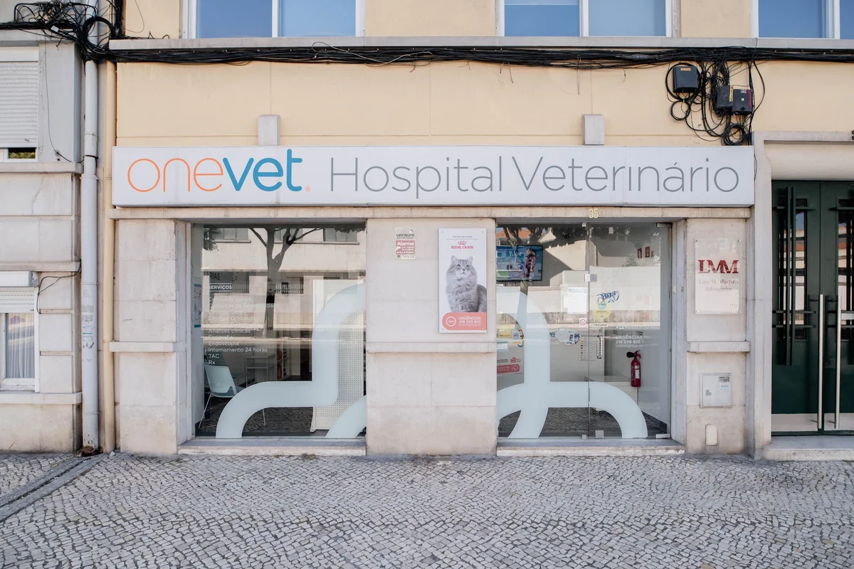 Onevet Hospital Veterinário Berna — 3