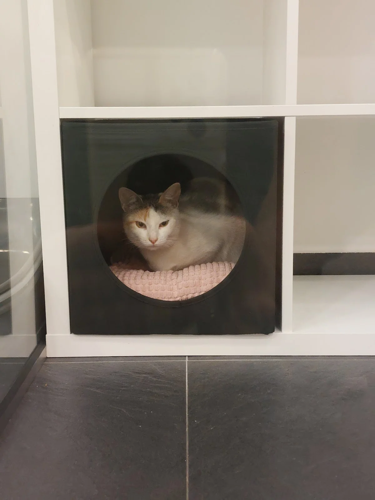 Hotel Mimos & Relax Cats - Ramada — 2