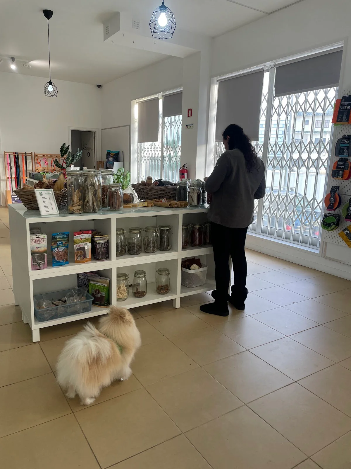 Ruff Dog - Porto — 2