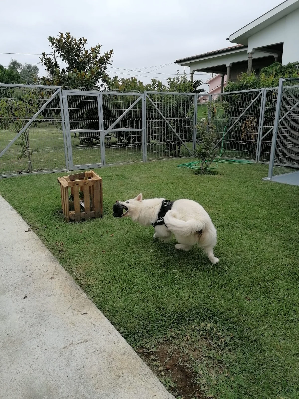 Casa das Heras - Zoo Hotel