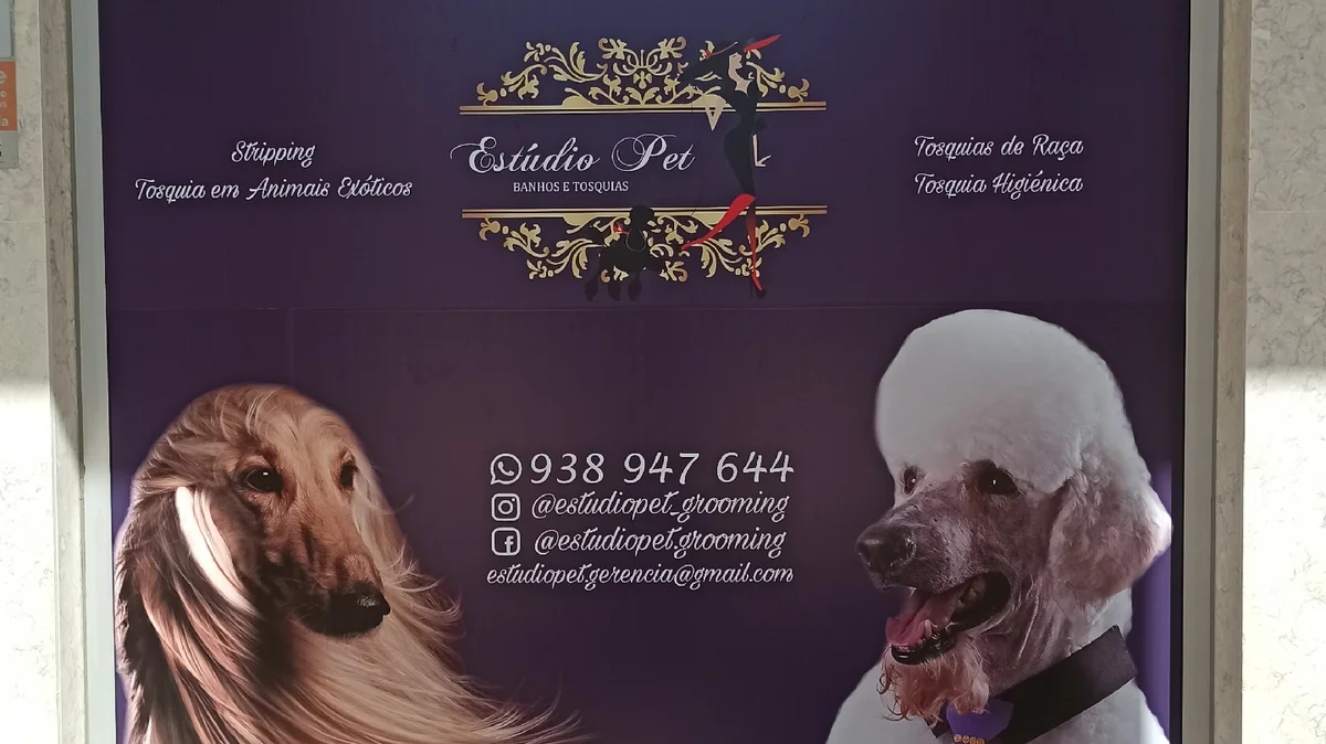 Estúdio Pet
