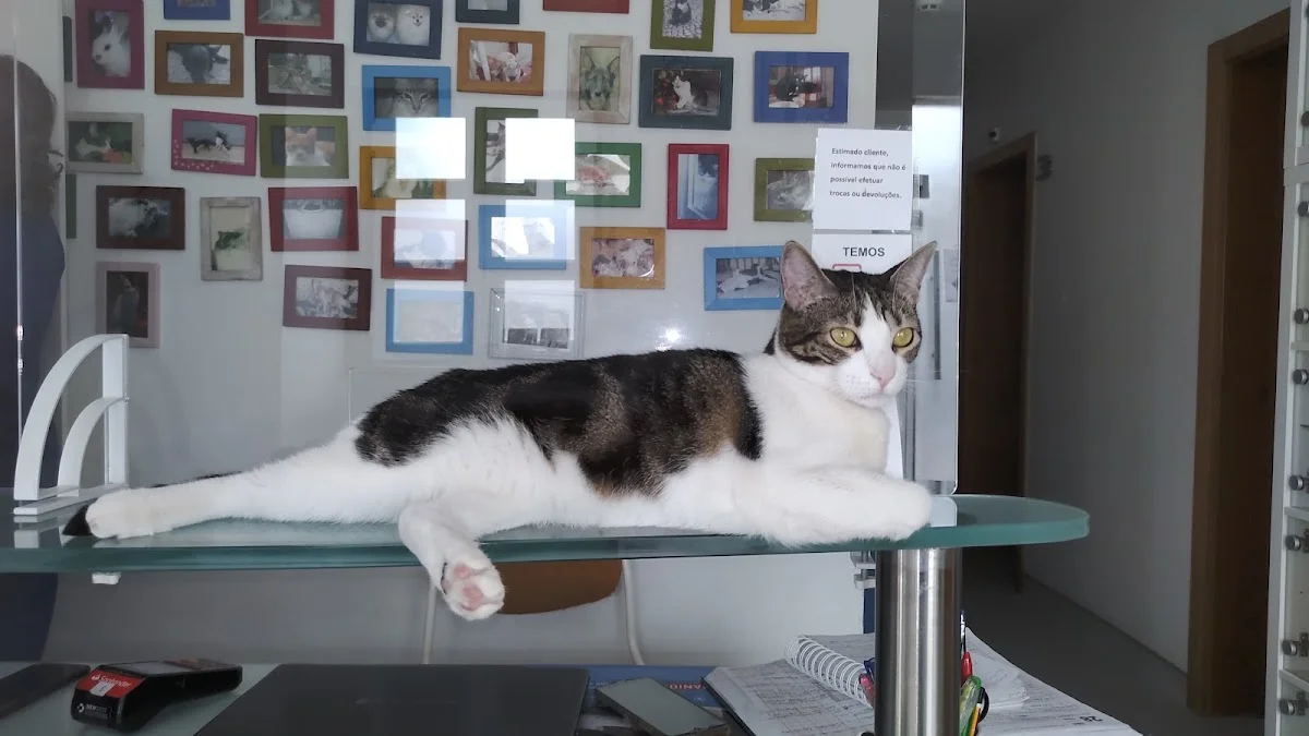 Consultório Veterinário da Ajuda