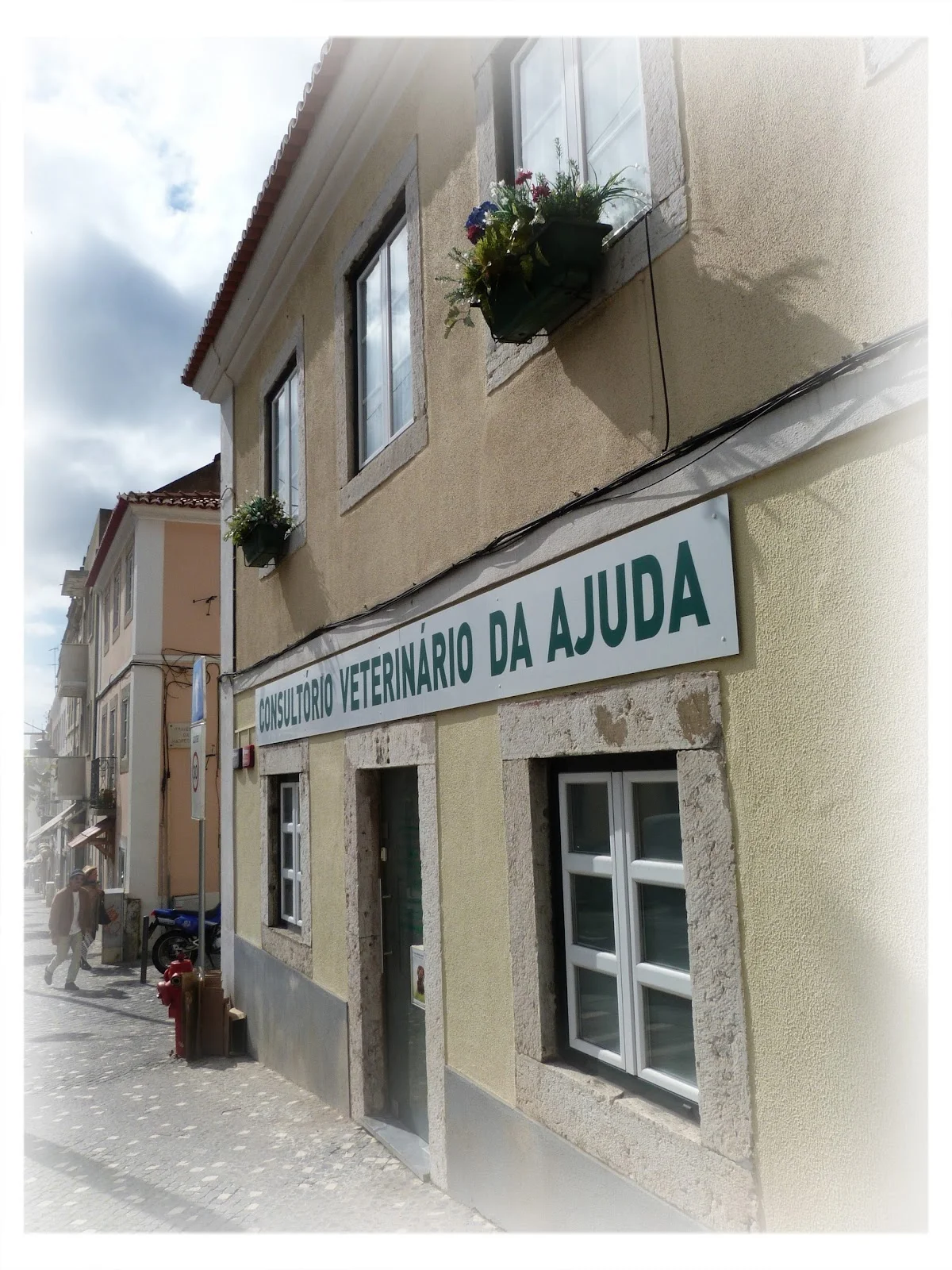 Consultório Veterinário da Ajuda — 2