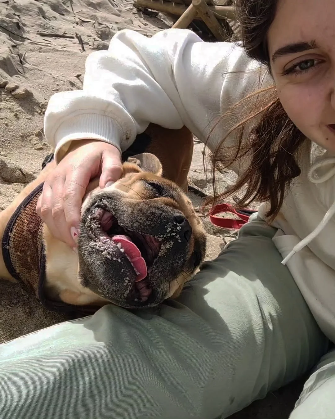Inês - Pet Sitting, Walking, Hotel, Taxi — 2