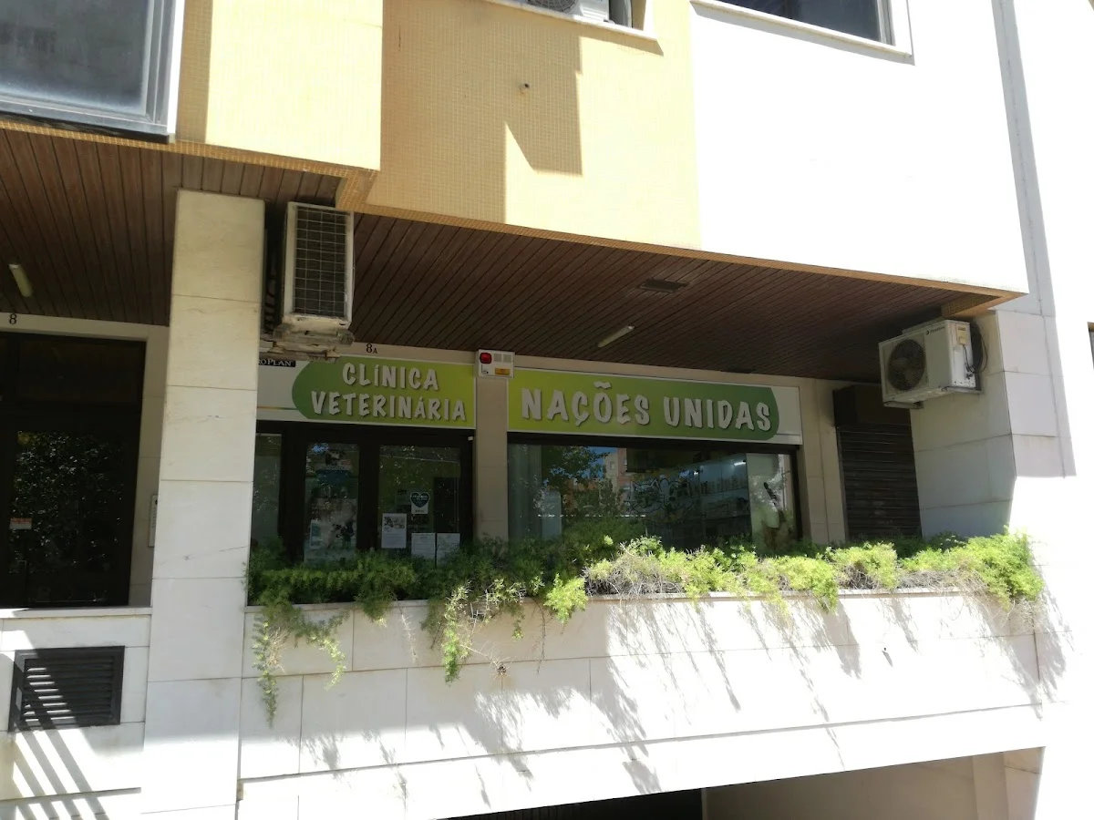 Clínica Veterinária Nações Unidas