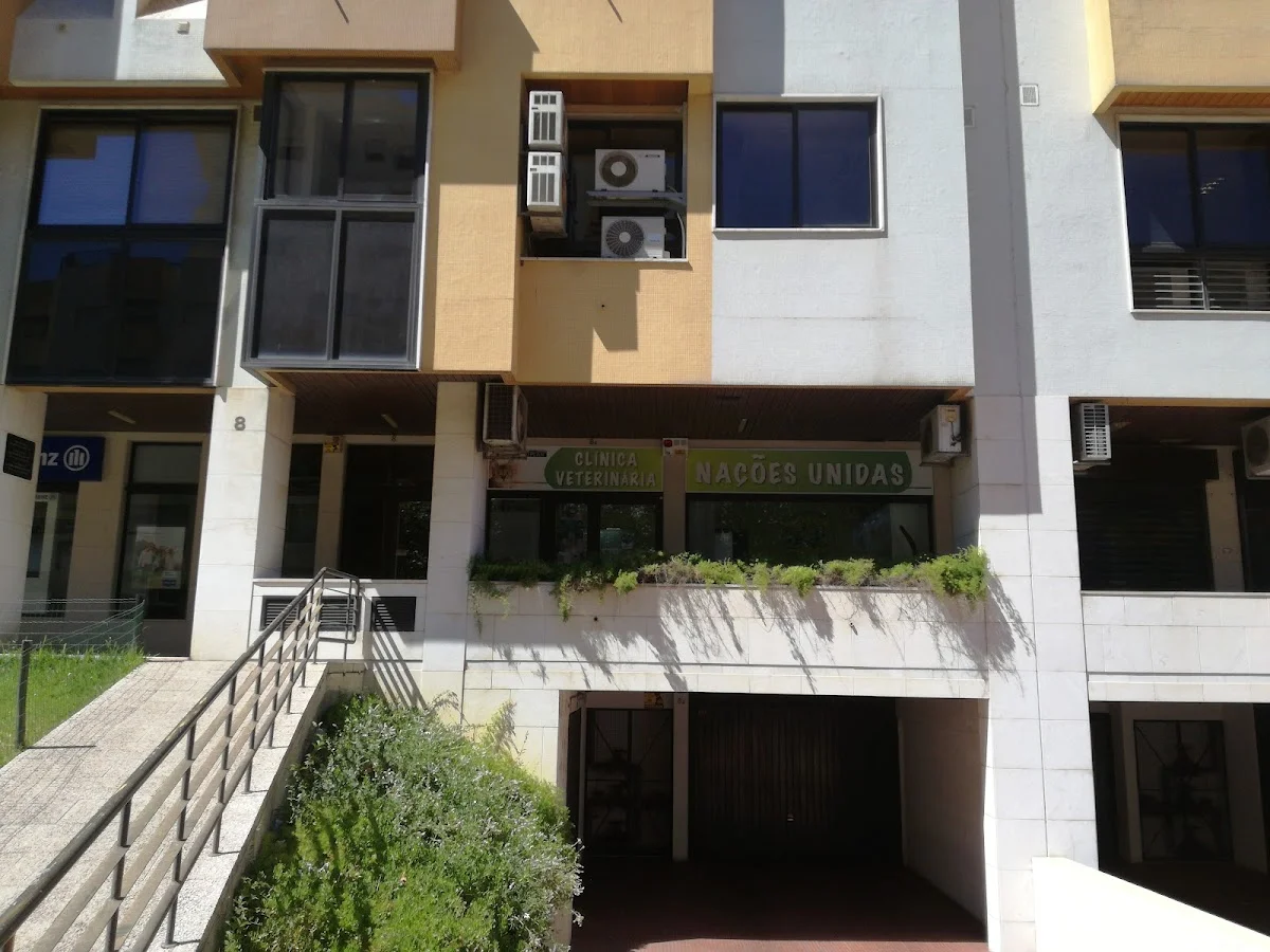 Clínica Veterinária Nações Unidas — 2