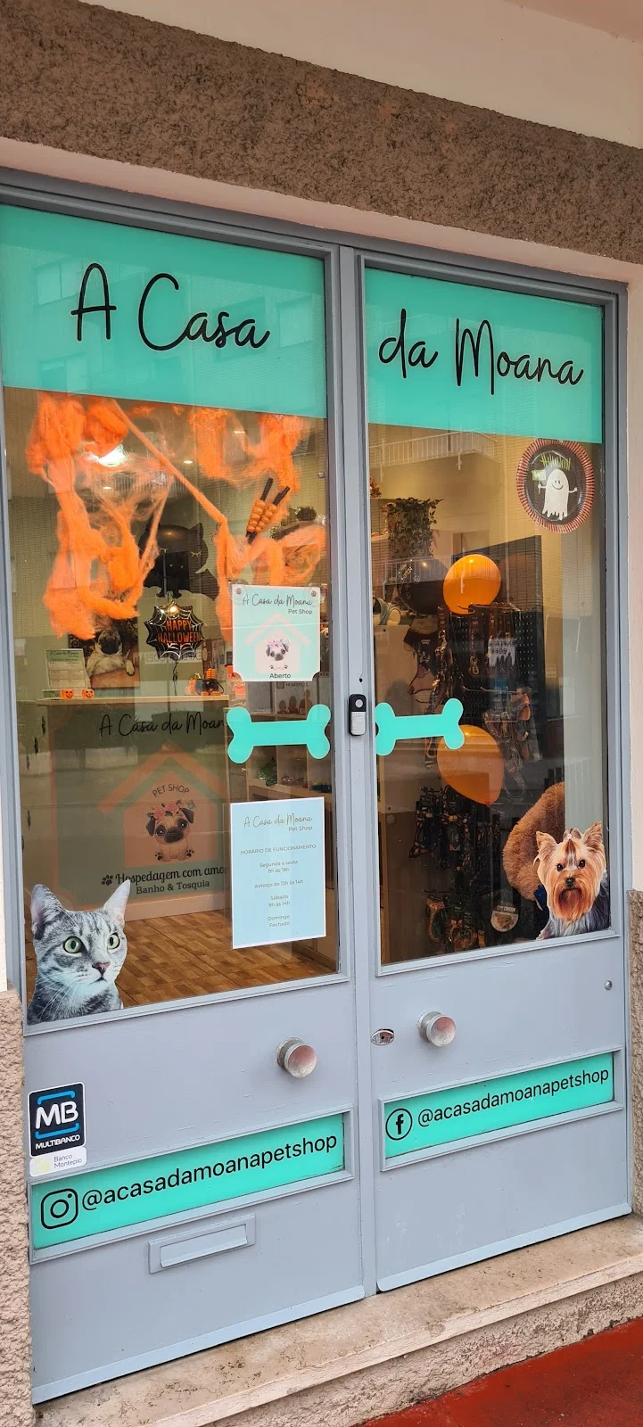 A Casa da Moana Pet Shop — 3