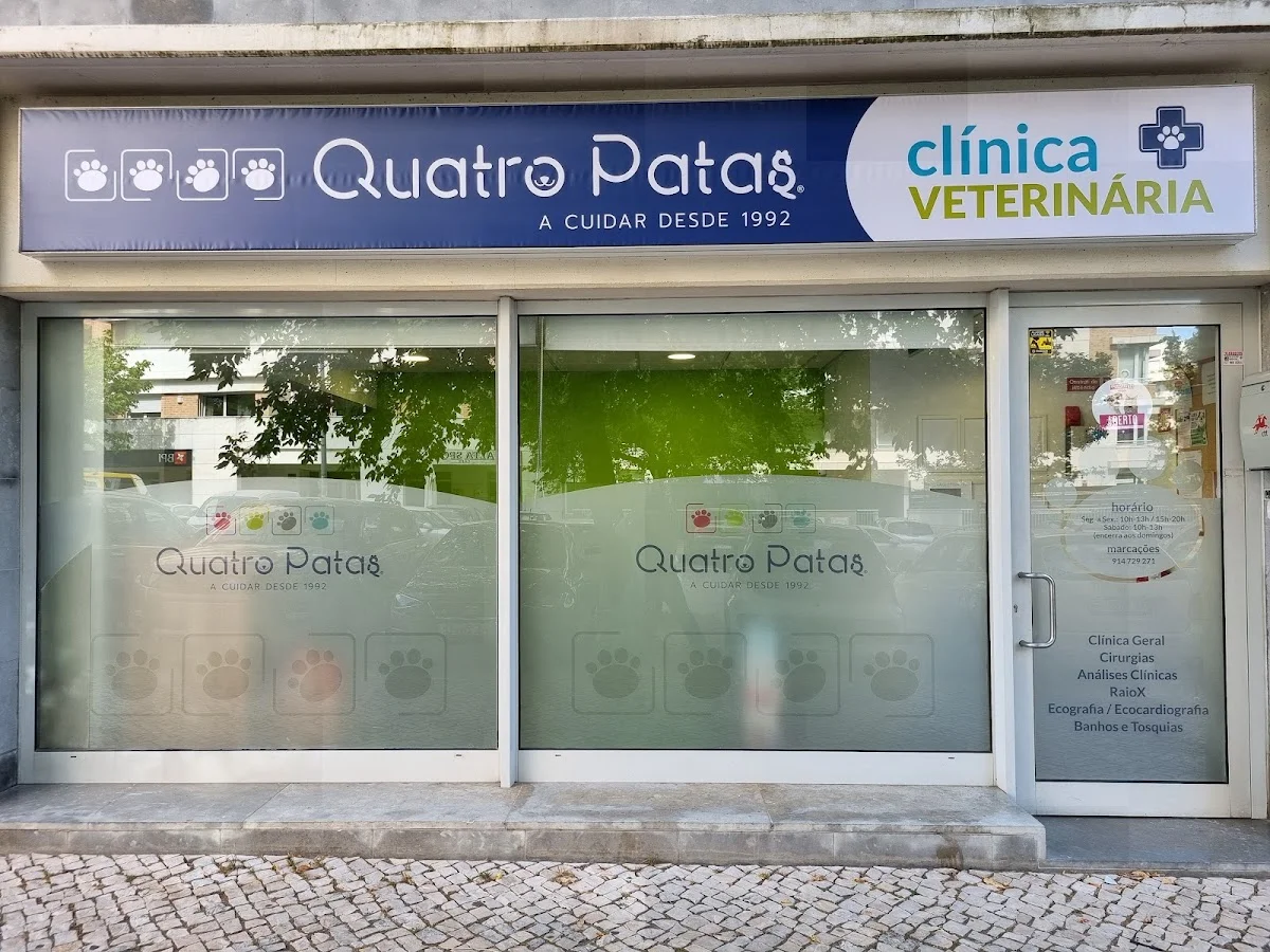 Quatro Patas Alta de Lisboa
