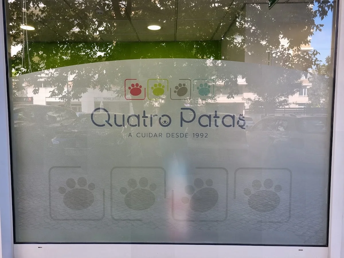 Quatro Patas Alta de Lisboa — 3