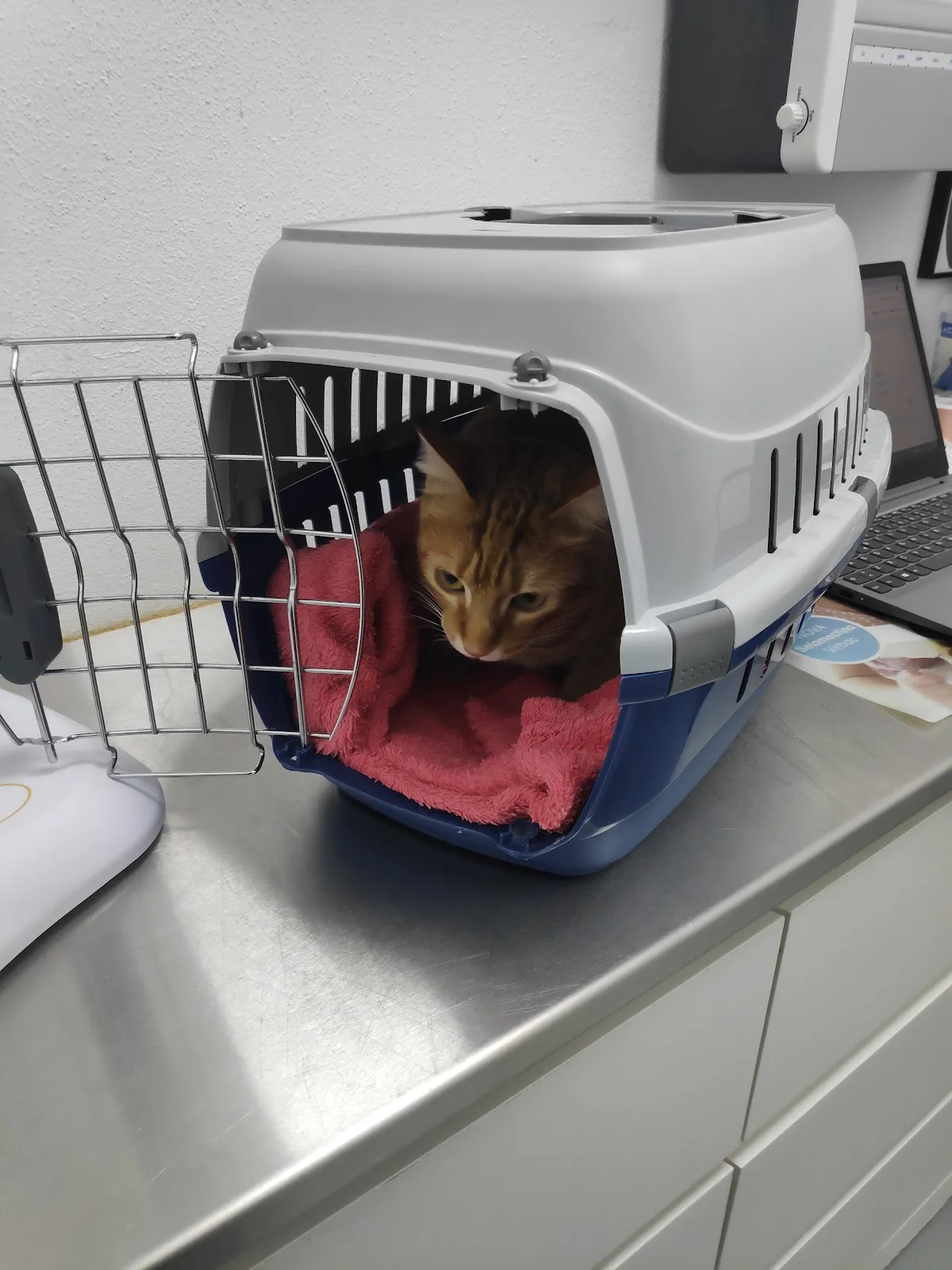 Clínica Veterinária Passeio Alegre — 2