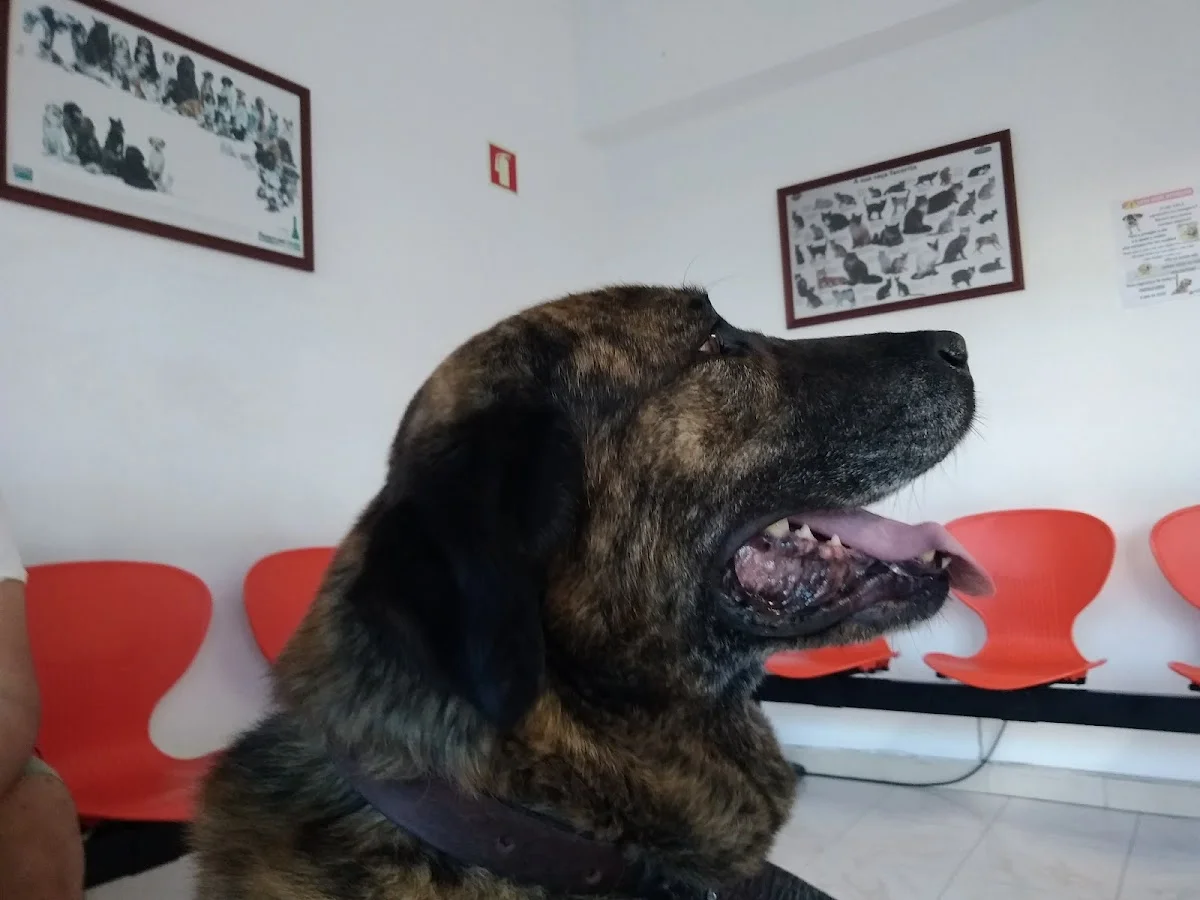Clínica IZQC Tercena — 2
