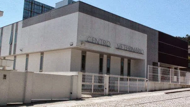 HVG - Hospital Veterinário de Gaia — 2