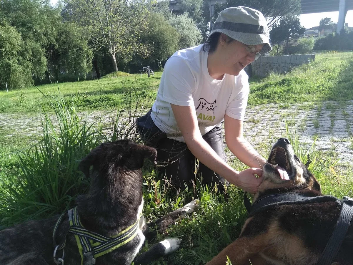 Elsa Mendes - Educadora Canina — 3