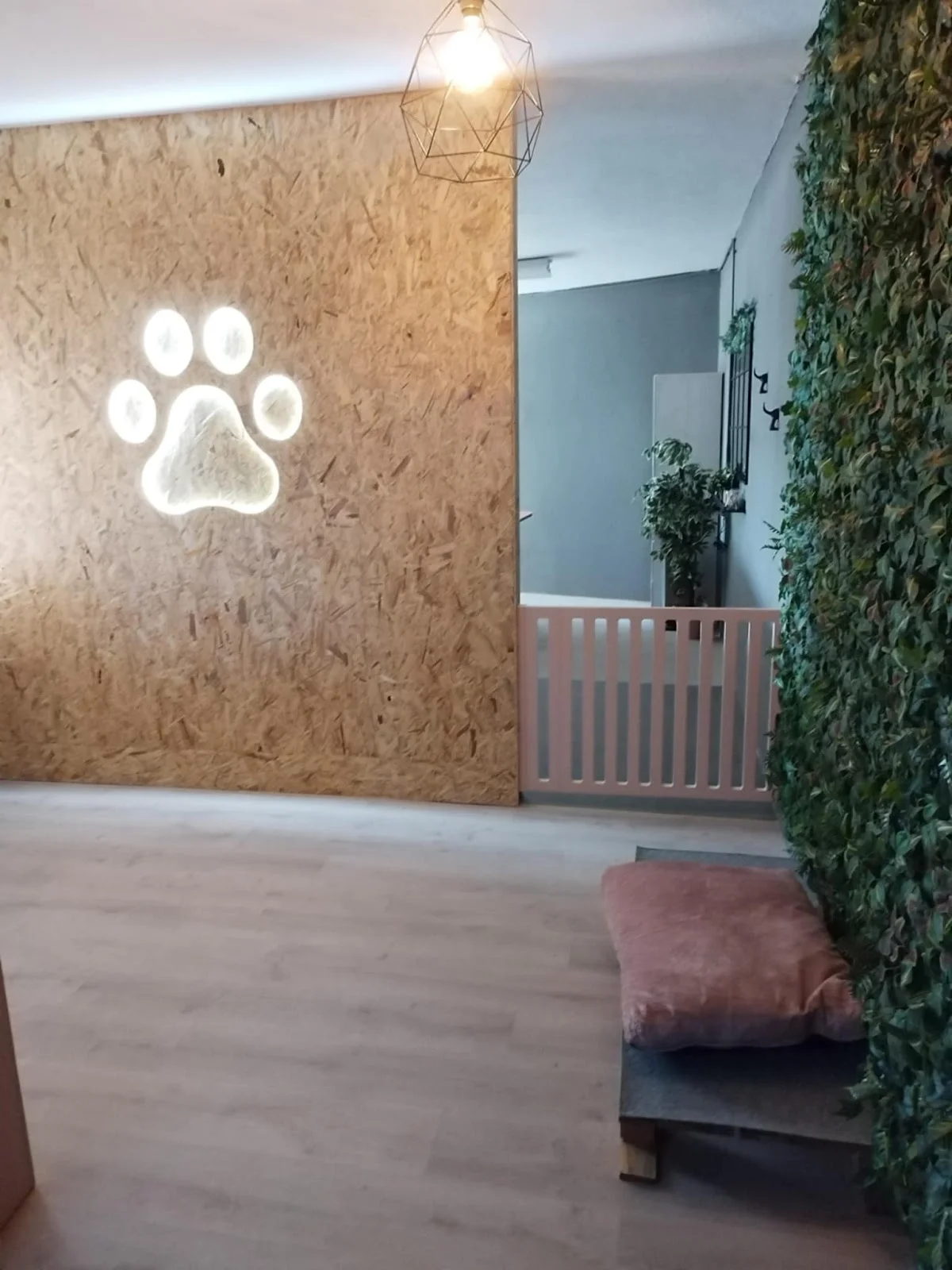 Patinhas Pet Care — 2