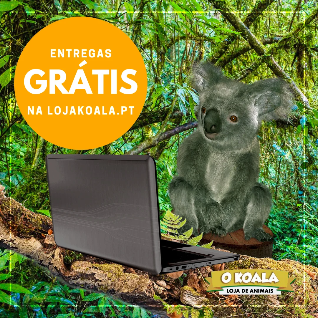 O Koala - Loja de Animais — 2