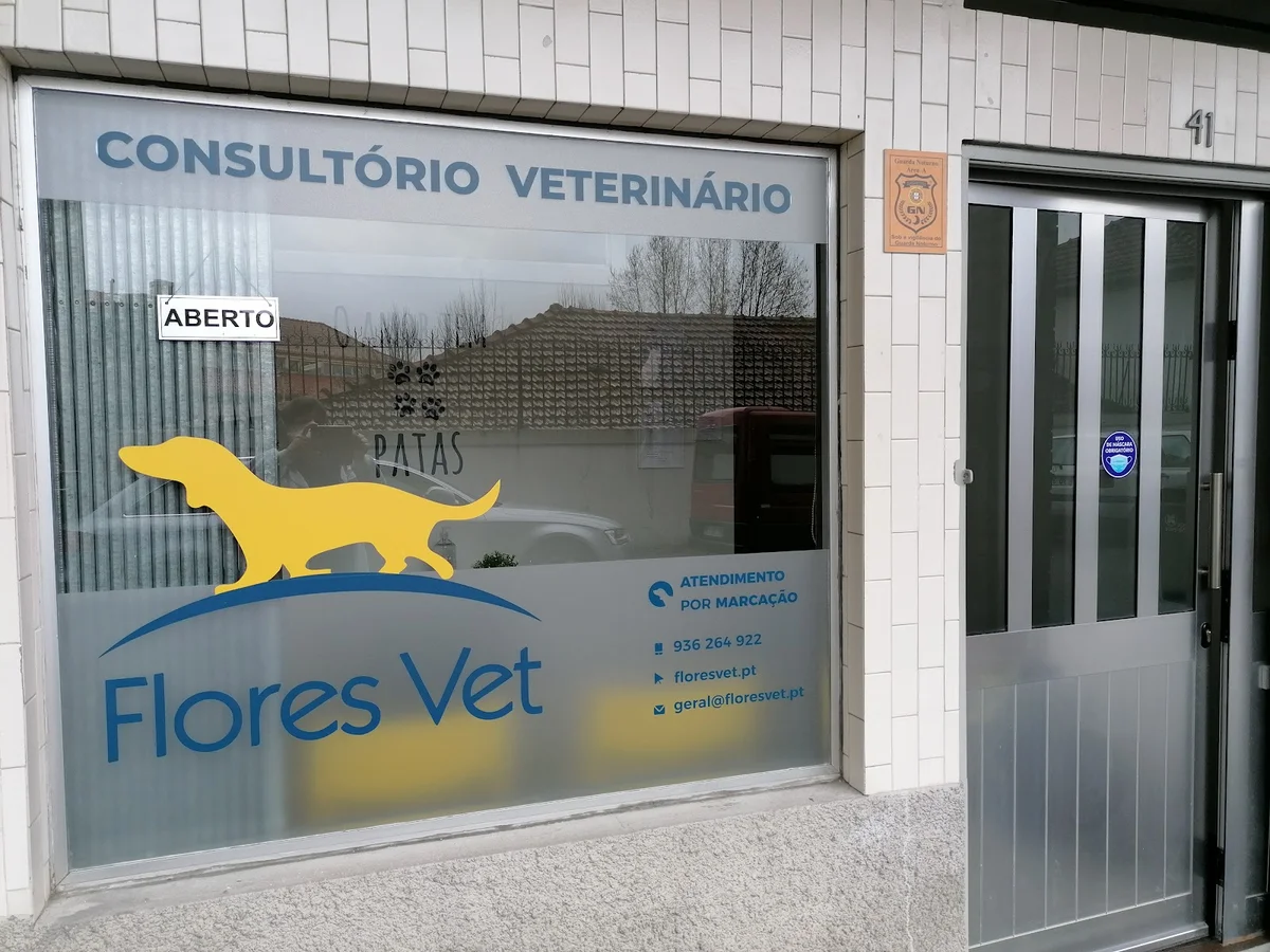 Flores Vet - Consultório Veterinário