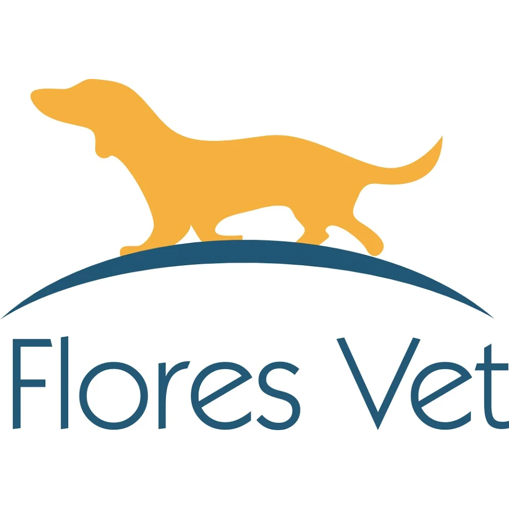 Flores Vet - Consultório Veterinário — 2