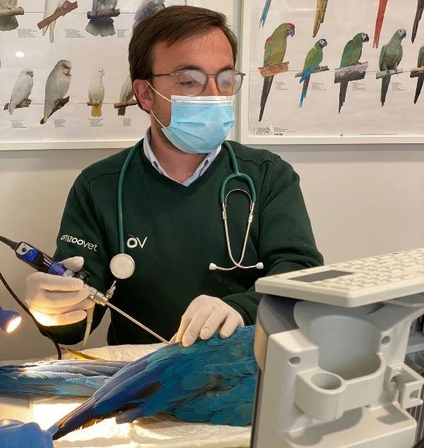 Ornizoo Vet — 2