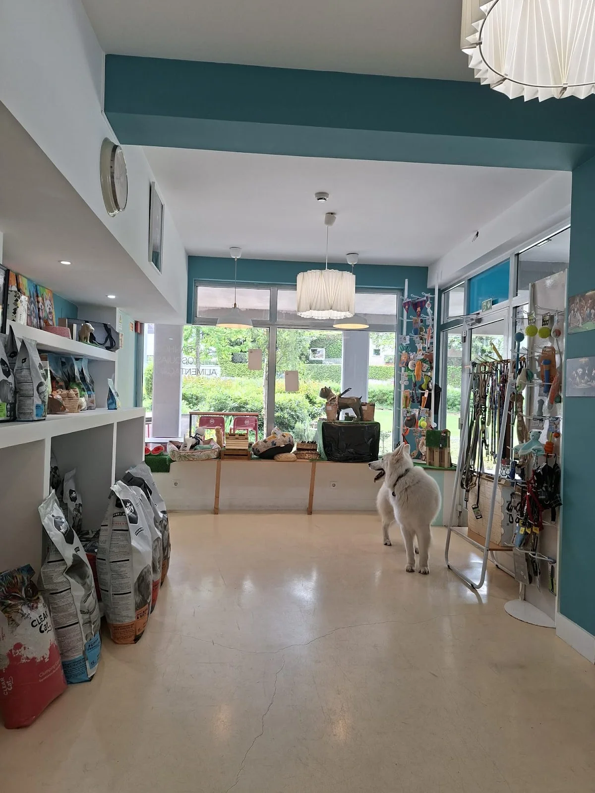 Dog Lover's