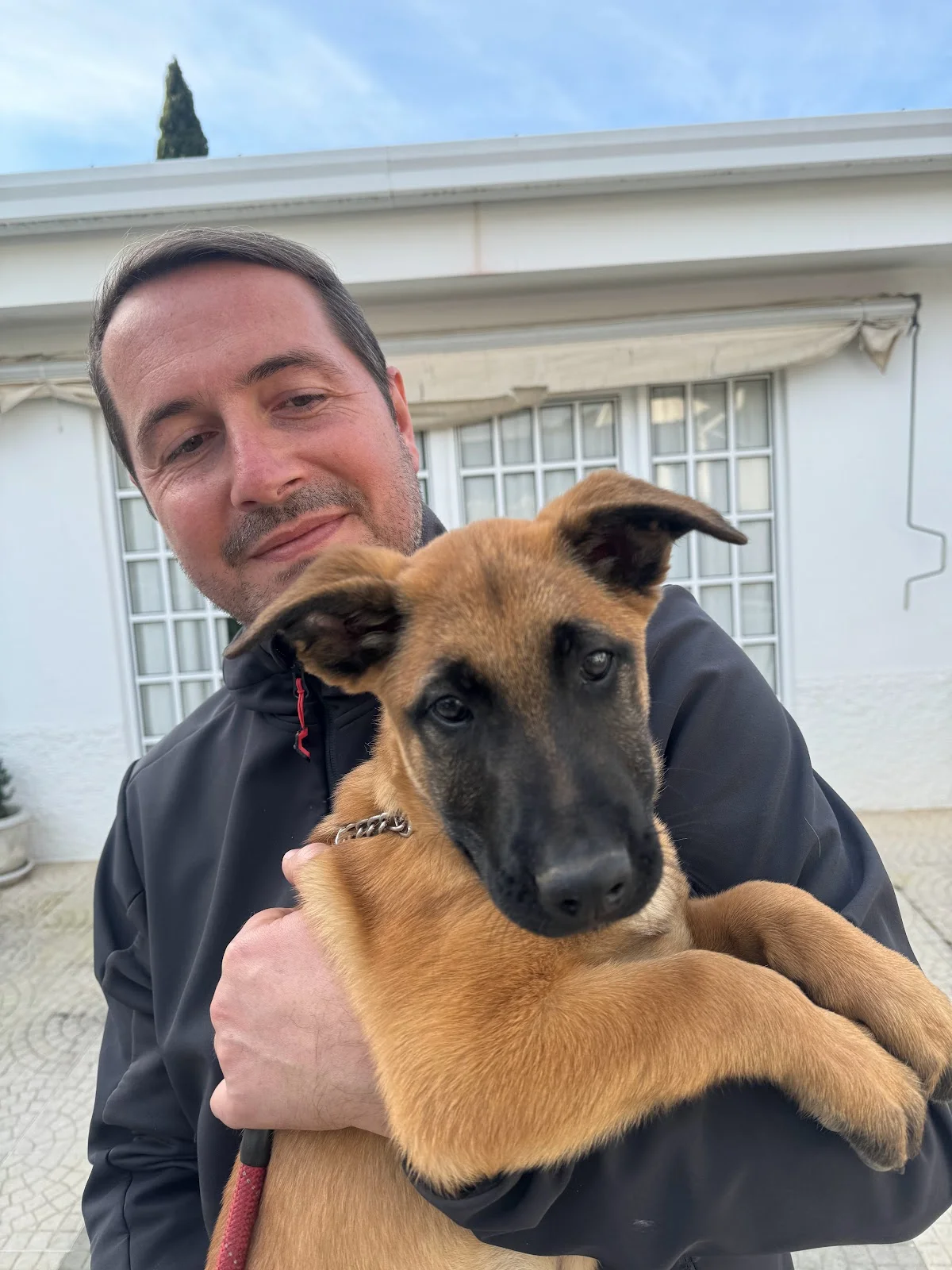 Dog Trainer Ricardo Calheiros — 2